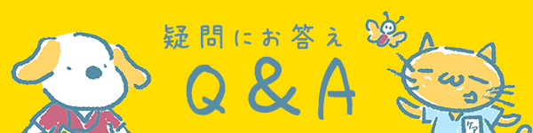 Q&A